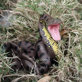 

8*8.5CM Mini Wild Animal Snake Model Halloween Lifelike Giant Material Prank Pvc Reptile For Kids Gift Tricky Toy Python C2F3