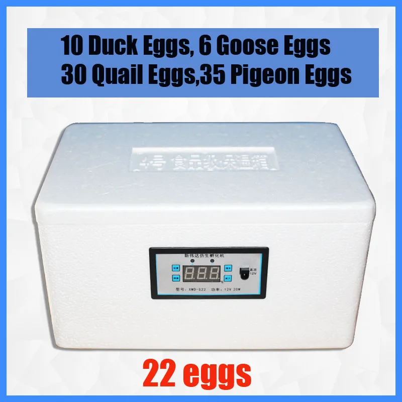 22 Eggs