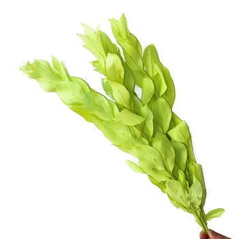 

Handmade Preserved Immortal Orange leaves Flower Present Best Gift for Female Birthday