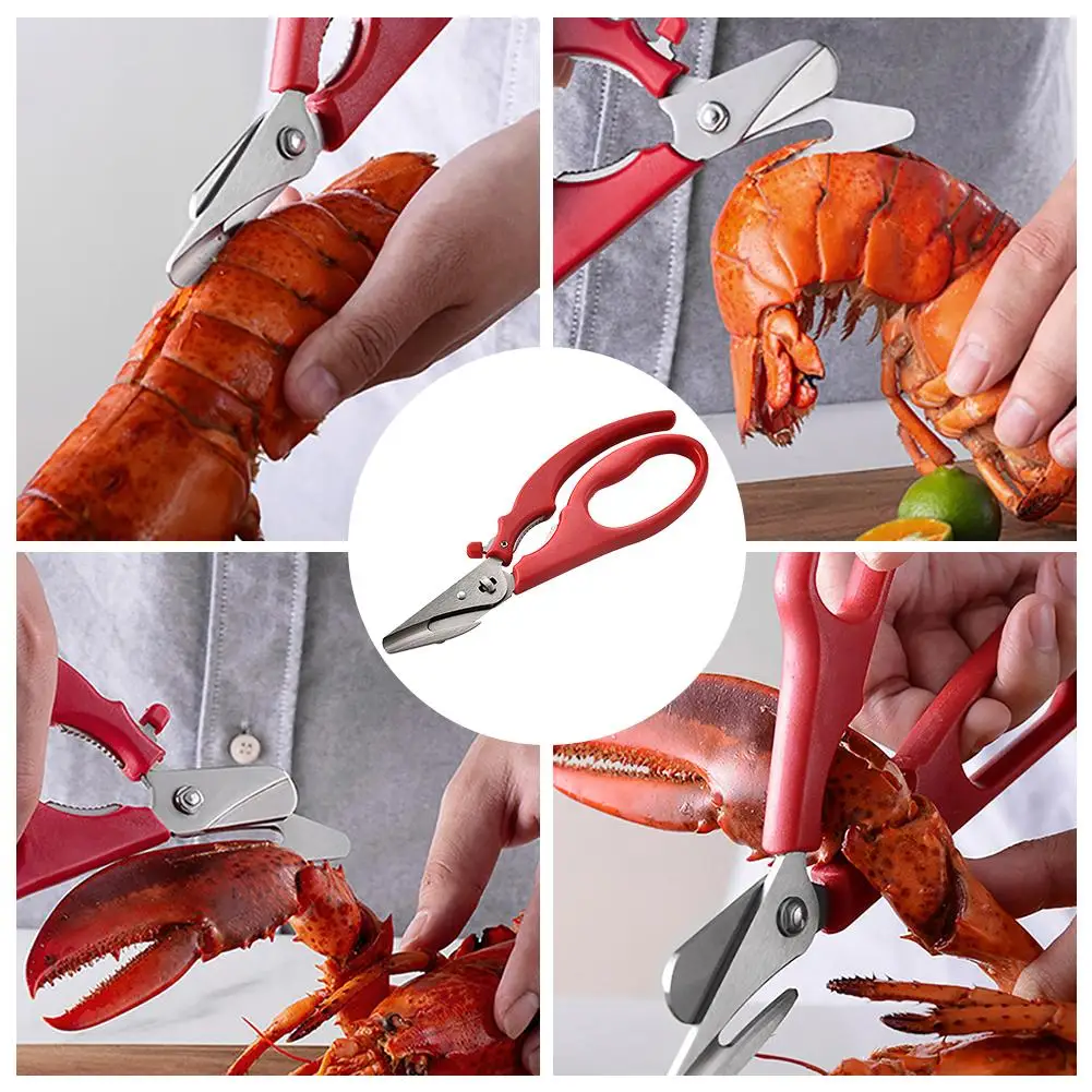 Pince à Fruits De Mer + 2 Curettes à Homard - Inox 18 Cm Et 24 Cm, Lave-vaisselle