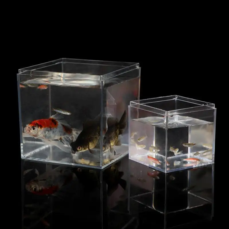 Betta Fish Tank Gold Fish Transparent Food Grade Plastic Tank Isolation Square Box WITH Lid Aquarium Accessories fish aquarium