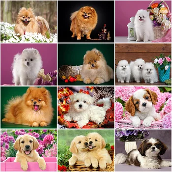 

DIY 5D Diamond Painting Dog Animal Diamond Embroidery Cross Stitch Rhinestone Picture Mosaic Full Round Drill Manual Hobby Gift