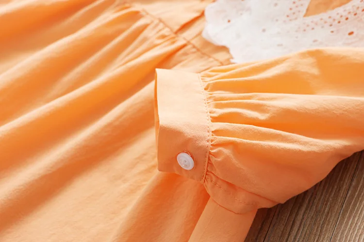 Весеннее платье принцессы с длинными рукавами для девочек