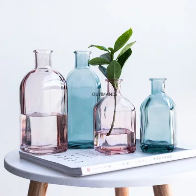 Colorful Glass Vase Transparent Simple Glass Bottle Table Crafts Ornaments Home Decoration Accessories Flower Vases For Homes
