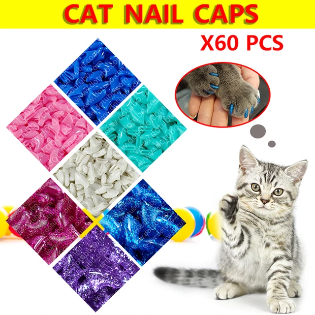 KIT,SOFT CLAWS,TAKE HOME,FELINE,MEDIUM,CLEAR,40 NAIL CAPS, Veterinary  Supplies: shopmedvet.com