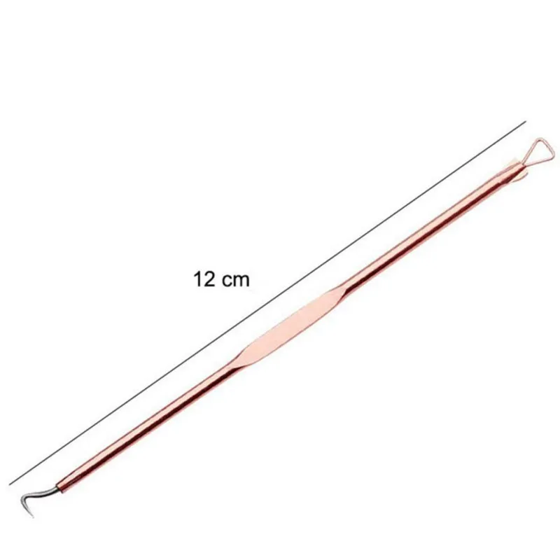 4 Pcs Anti-Bacterial Double-sided Needle Stainless Steel Blemish Blackhead Remover Tool