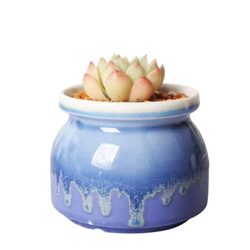 

Fleshy Ceramic Flower Pot Set Combination Simple Plant Basin Indoor Fresh Cute Flower Vase