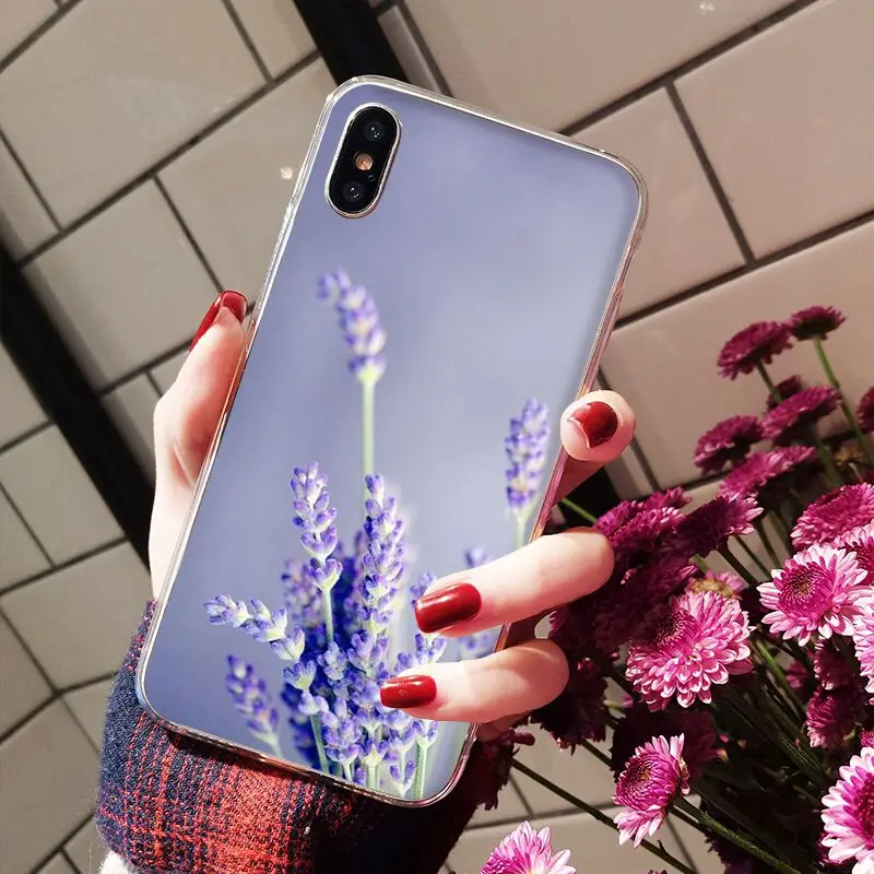 Simple lavender Purple flowers