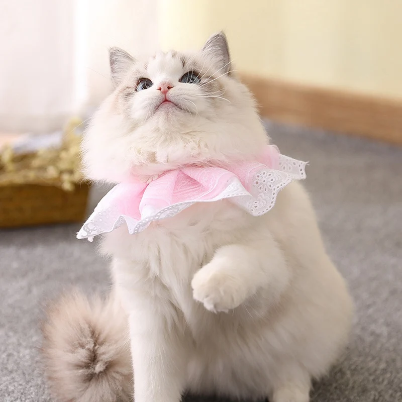 Новое поступление ошейник для кошек Регулируемый воротник для котенка кружевной воротник для котенка с колокольчиком товары для домашних животных товары для кошек украшение для шеи для домашних животных