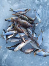 Erchang-Localizador de peces XF02C portátil, Sonar para pesca en el lago, 100M