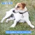 Pet Dog GPS Tracker Locator Bell Водонепроницаемый IP67 Электронный Анти-потерянный GPS/AGPS/BDS/WIFI/LBS Устройство Слежения С Ошейником для домашних животных