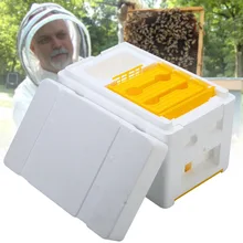 Пчеловодная королева, разведение, коробка для выращивания пчеловодства, пчеловодство, оборудование TP899