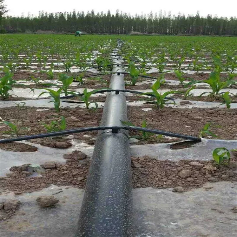 Mangueira de Irrigação para Micro Agricultura, Sistema