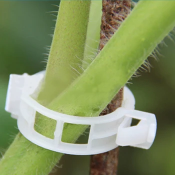 

100pcs Tomato Veggie Garden Plant Support Clips for Trellis Twine Greenhouse
