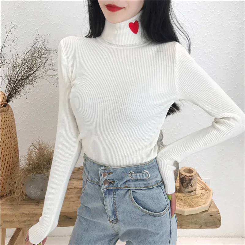 Autumn-Winter-Turtleneck-Sweater-Women-Long-Sleeve-Embroidery-Slim-Elasticity-Knitted-Women-Pullover-Sweater-2019-Ladies-Top (6)