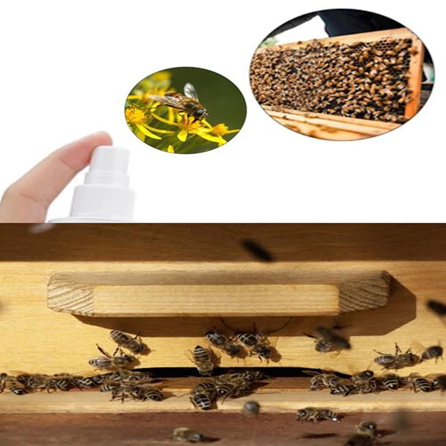 60 Ml Méh, Könnyű Vonzerő Spray -Raj, Hordozható A Gazdaságok Számára Ács Méhkezű Méhek Tartása - Image 5