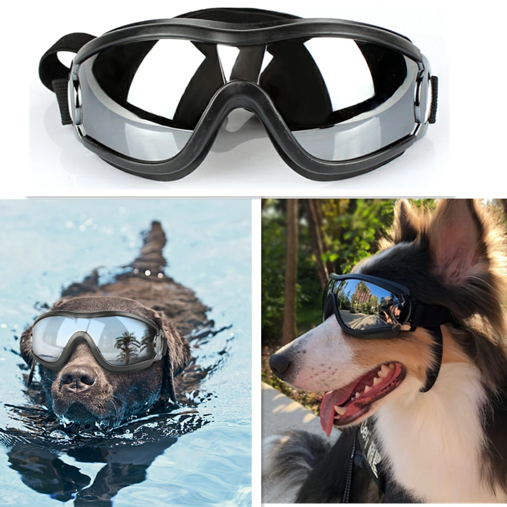 Rápido envío gratuito Compre en la mejor tienda H Dog Gs D Sr S M Pets