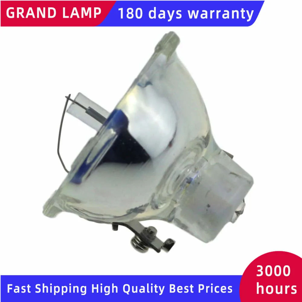 SP-LAMP-003-2