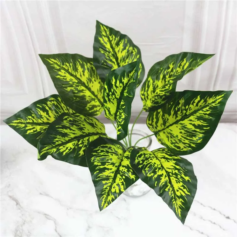 9555229966_2032011975