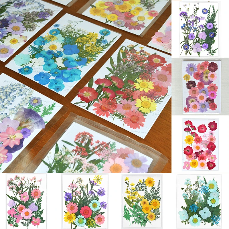 Pressed Dried Flowers Plant Herbarium Small Scrapbooking For Phone Jewelry Making Craft Decor | Дом и сад
