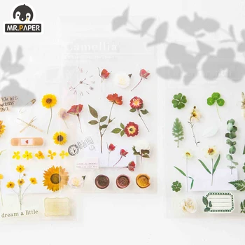 

Mr.paper 1pcs Plant Floral PET Stickers Diary Planner Decorative Label Scrapbooking DIY Home Suitcase Children Toy GIft Stickers