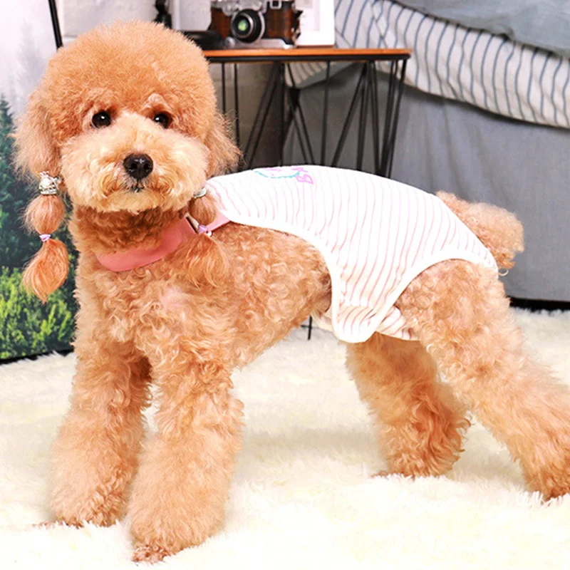 11809868441_1202722020