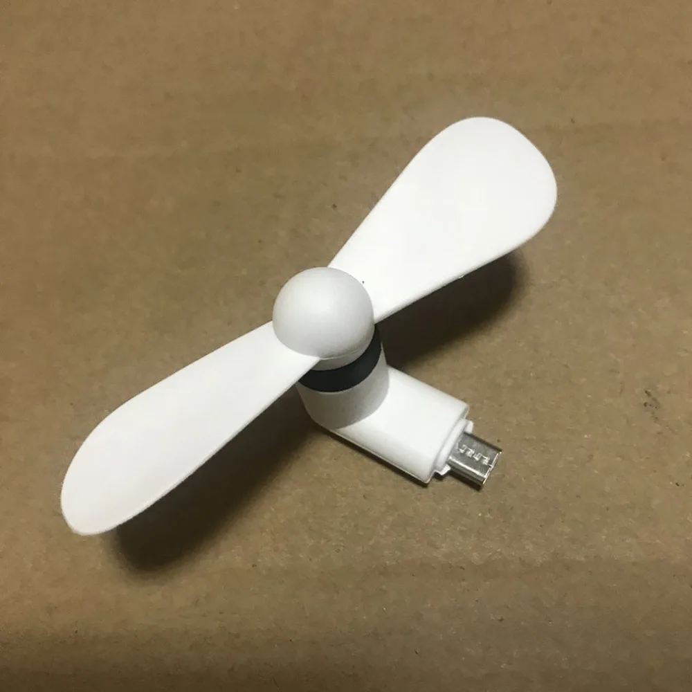 DQ367306-C-20190431-1
