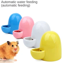 automatic hedgehog feeder