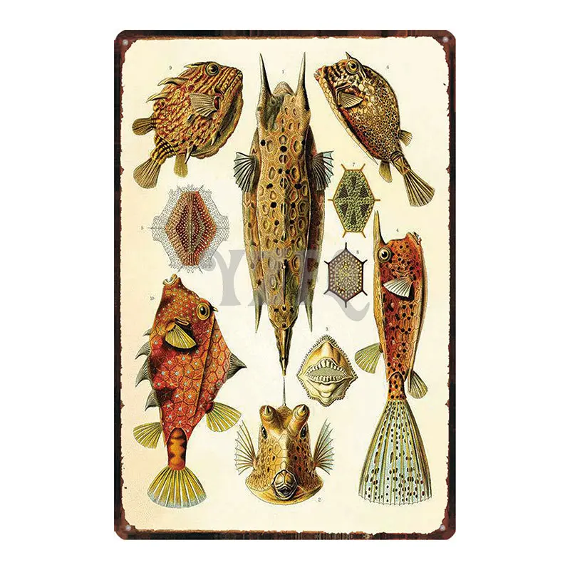 Японская кошачья дощечка с надписью металлическая пластина с винтажным рисунком для настенного плаката Бар Искусство домашний декор куадро DU-3211A - Цвет: DU-3226