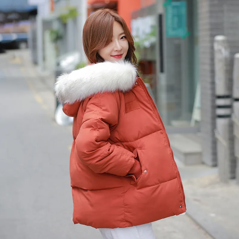 

Down parka winter 2019 edition hooded winter new small padded jacket easing down padded jacket