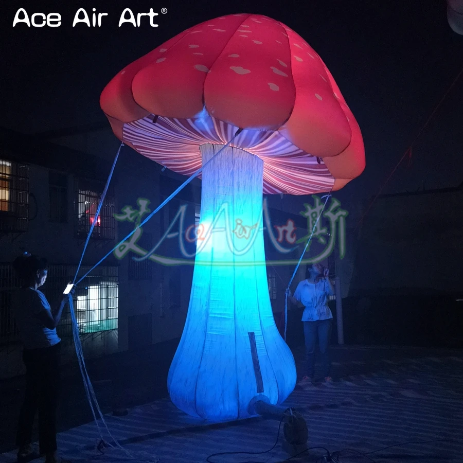 QQ图片20190617220549_副本_副本