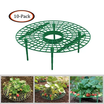 

Strawberry Plant Growing Supports Avoid Ground Keep Strawberries cleaning in the Rainy Days Plastic garden planter tools 2020