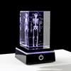 Crystal 3D Laser Engraved Human Anatomical Skeleton Cube Model Statue Paperweight Anatomy Mind Neurology Medical Science Gifts 1