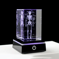 Crystal 3D Laser Engraved Human Anatomical Skeleton Cube Model Statue Paperweight Anatomy Mind Neurology Medical Science Gifts 1