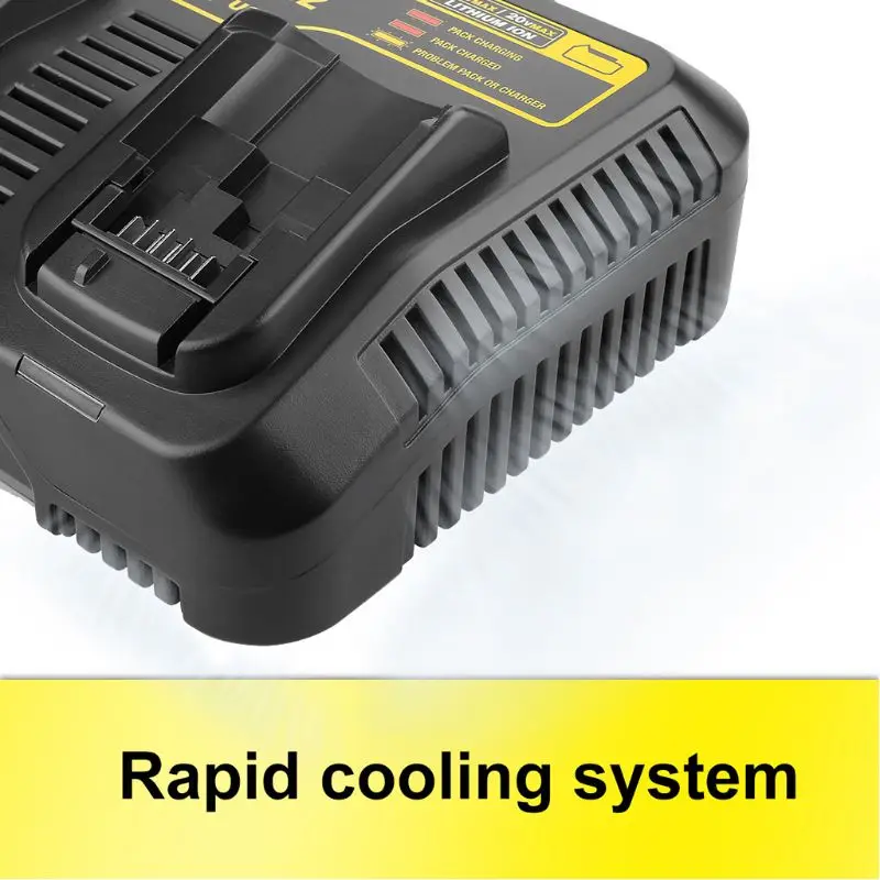 Two Slot Charging Station DCB102 Li-ion Battery