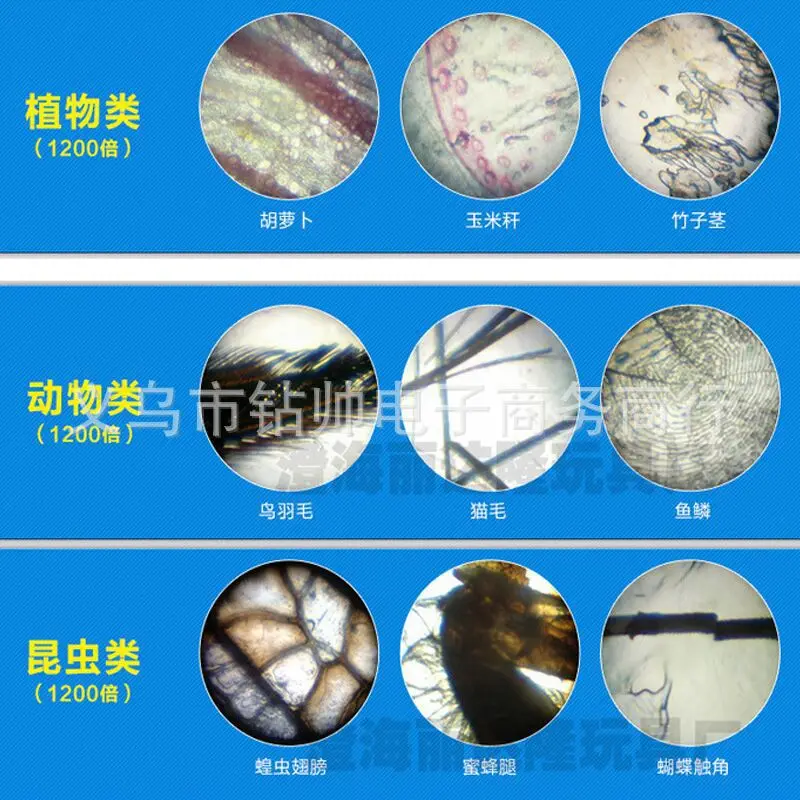

Children Microscope Parts Biological Specimen Slice Animal And Plant Specimen Plastic Glass Slide 12-Piece Popularization of Sci