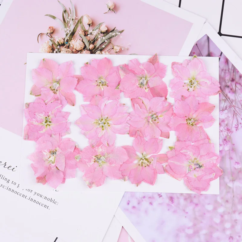 12 шт./упак. консервированные Цветочные прессованные цветы маленькие сушеные цветы для скрапбукинга сухие DIY чехол для телефона Mini bloemen flores secas