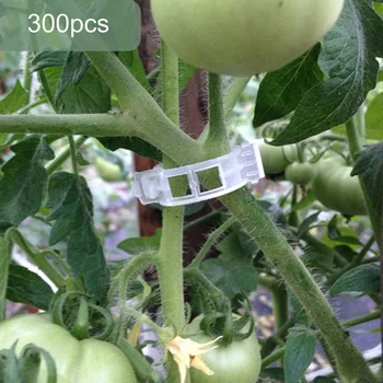 

300PCS Plastic Vegetables Tomato Vine Plant Support Clips for Supporting Stems Indoor Outdoor Gardening Planting Accessories