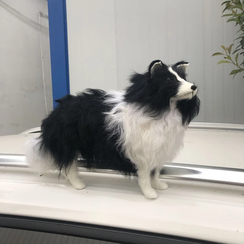 11806180037_1713678189