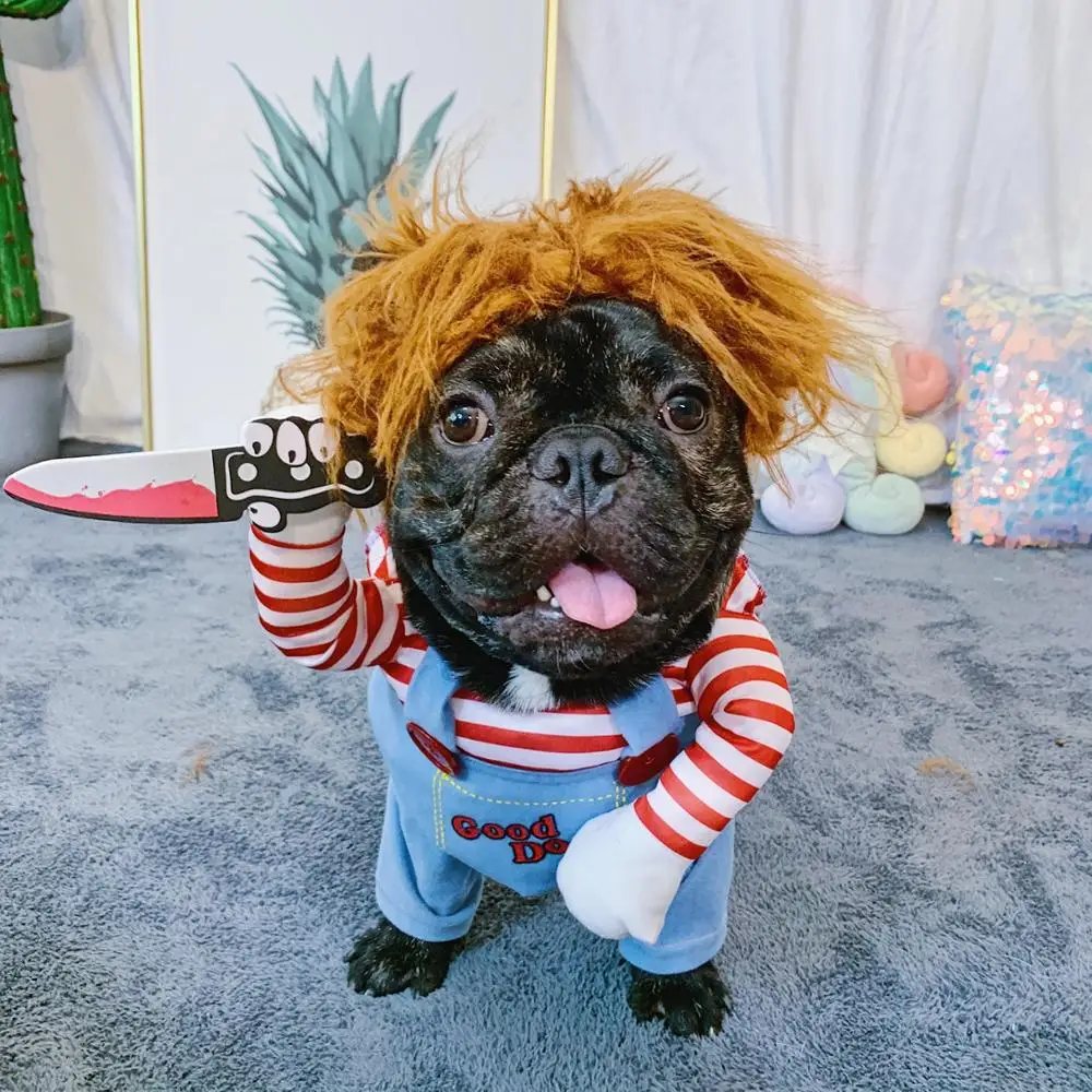 Policial Engraçado: Acessórios e Roupas Divertidas para Seu Cão, image size:1000x1000