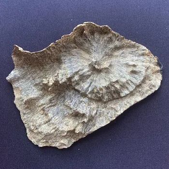 

16.2g Authentic Natural Chinese HaiNan oudh wood rich oil thick and old agar wood smell beautiful fragrance & Lasting scents