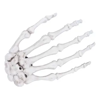 

2pcs Large Skeleton Claw Hair Clip Halloween Party Styling Hair Clips Halloween Headwear Hair Barrettes Hairpin