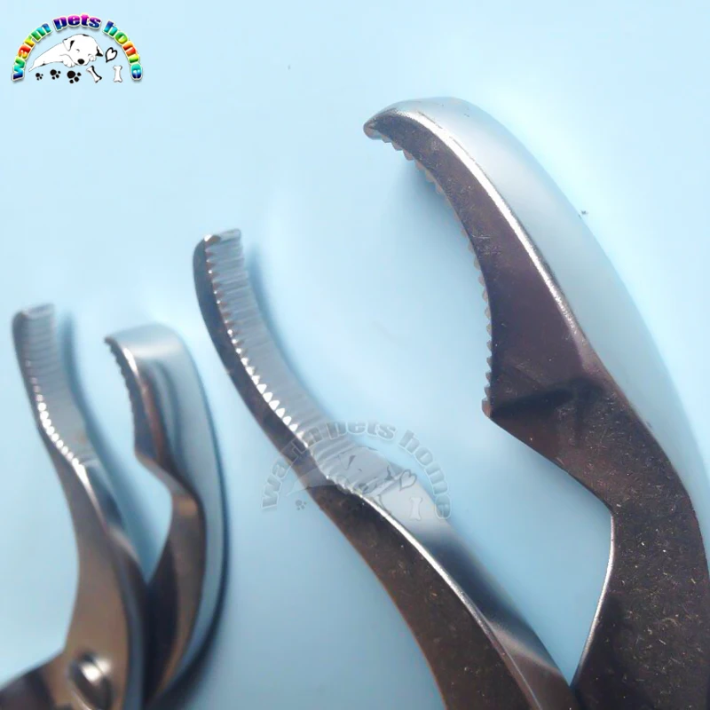 Verbrugge Bone Holding Forceps Self Centering Bone Forceps With Thread Fixation Plate Holder Veterinary Equipment2