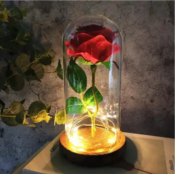 

The Beauty and Beast Rose Romantic Valentine's Day Gifts Eternal Preserve Rose in Glass Dome Birthday Gift Wedding Gift