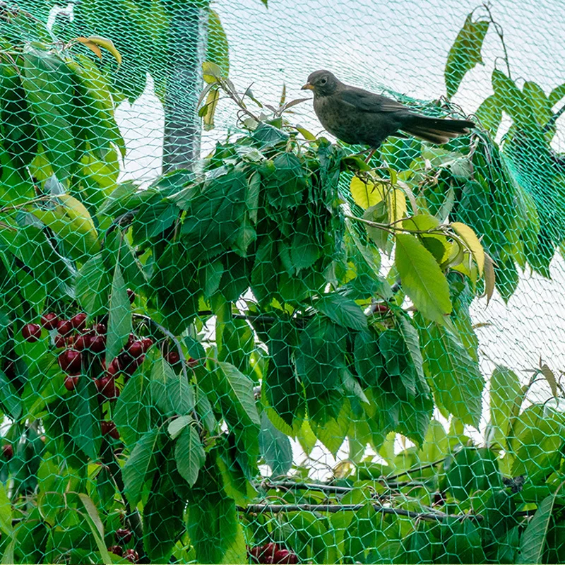 

Fruit tree net protection net birds net nylon bird netting fruit netting vegetable net chicken netting mist net cat net dog net