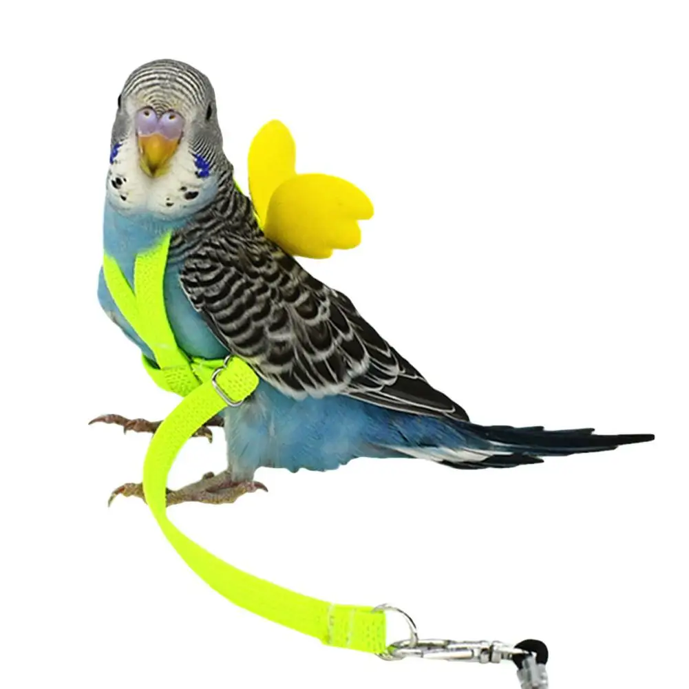 

Pet Parrot Bird Harness Leash Flying Rope Straps Outdoor Training Traction Rope for Budgerigar Lovebird Cockatiel Birds Supplies