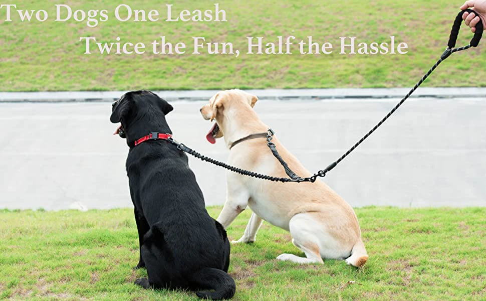 Double Handle Dog Leash, Double handle dog leash, Dog leash Double handle, Double handle leash for dogs, Double connection dog leash , Double dog leash for two dogs 