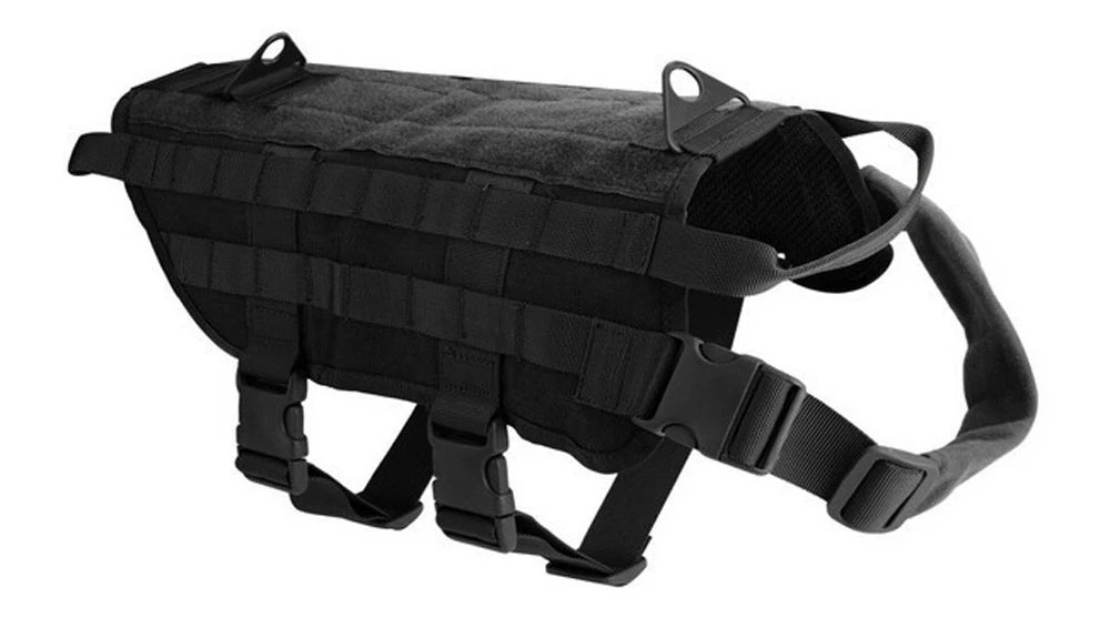 5575819662_1312717047