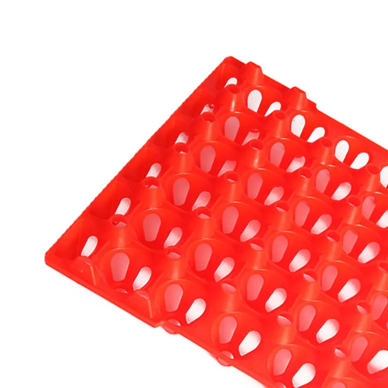 

6 Packs Egg Trays For Incubator Storage Holders 30 Poultry Turkey Duck Peafowl