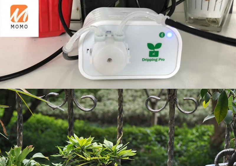 Kamoer dripping pro �������� ����Ʈ irrig �ý���, ����Ʈ ���͸� ���̵���� �޼� �ý��� �ڵ� ��¡ ���� ���� ����Ʈ Ȩ ��ǰ